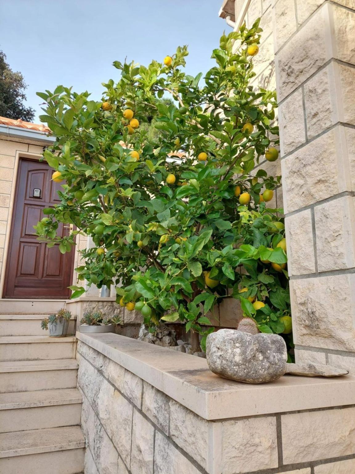 פוסטיר Apartments Pavao מראה חיצוני תמונה